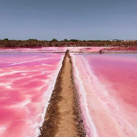 Casa Flamingo * 시우다드 케사다